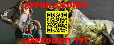 гашик Будённовск