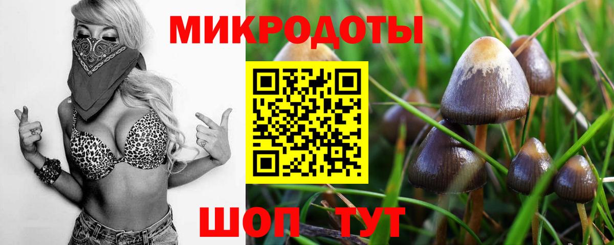 Междуреченск  Галлюциногенные грибы прущие грибы  Вход с VPN 