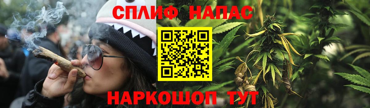 Бошки марихуана Amnesia Междуреченск
